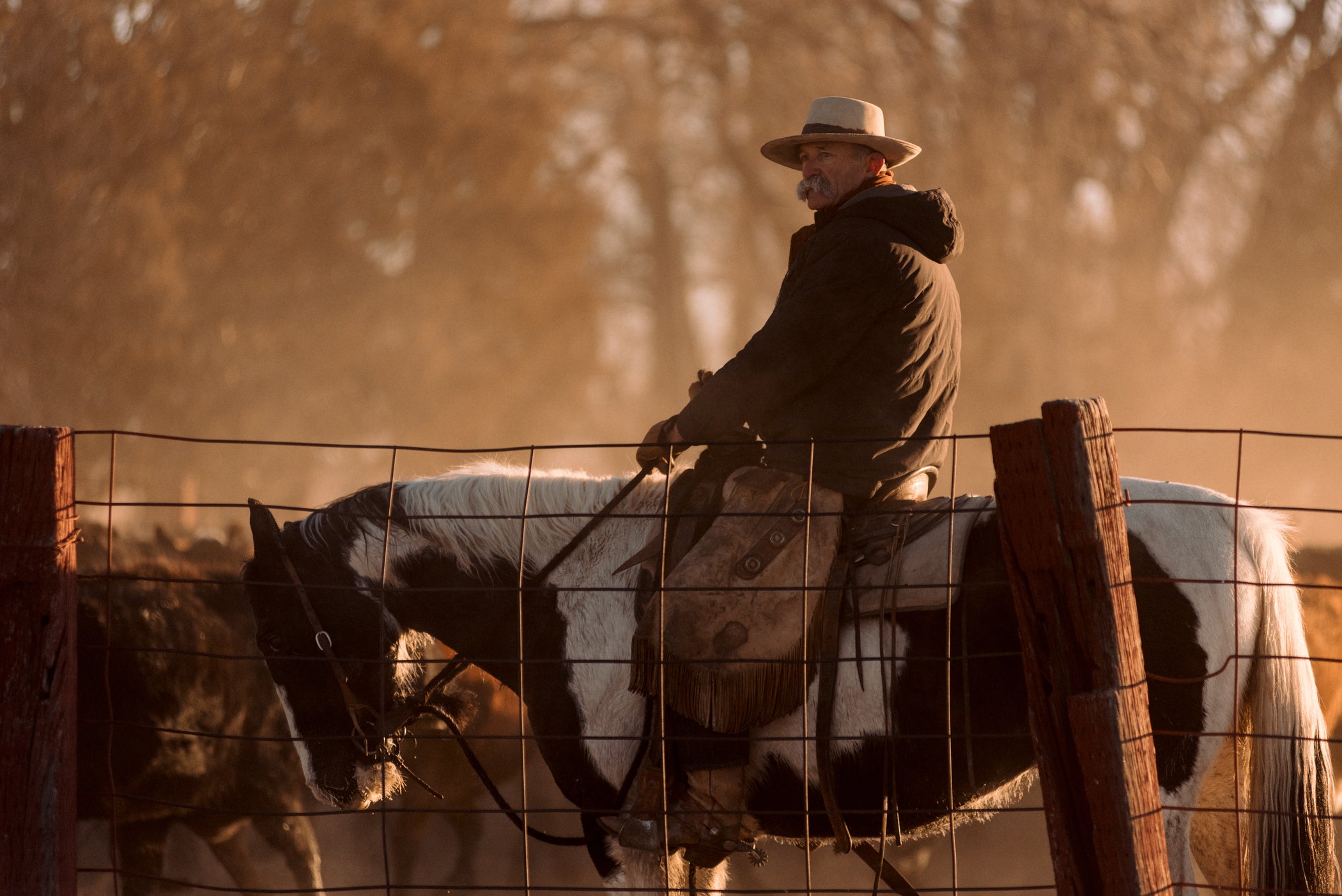 September 2023 Updates – Ranchlands