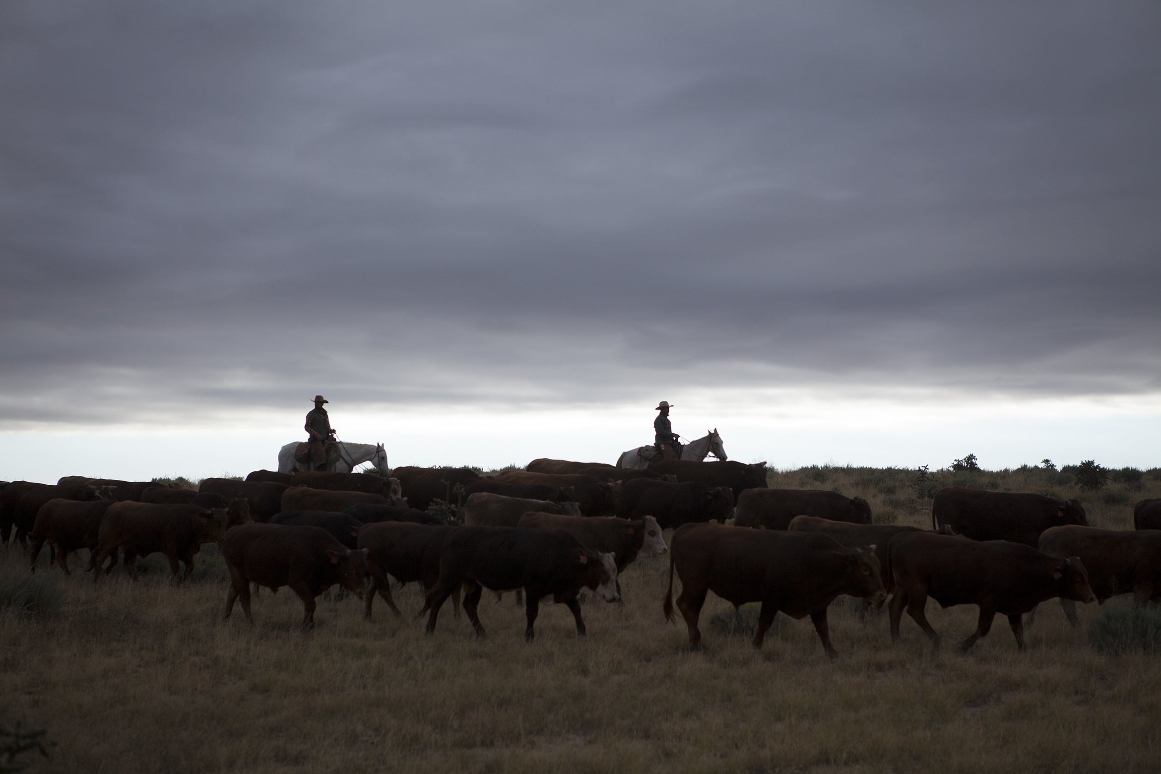 Chico Basin Ranch Calendar Overview – Ranchlands