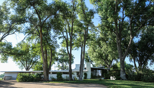 A Big Window into a Historic Colorado Home