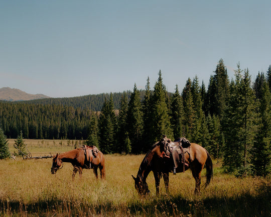 Paintrock Canyon Ranch Log: Part I