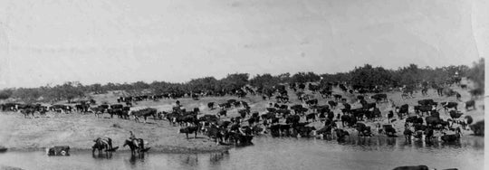 A Brief History of Chico Basin Ranch