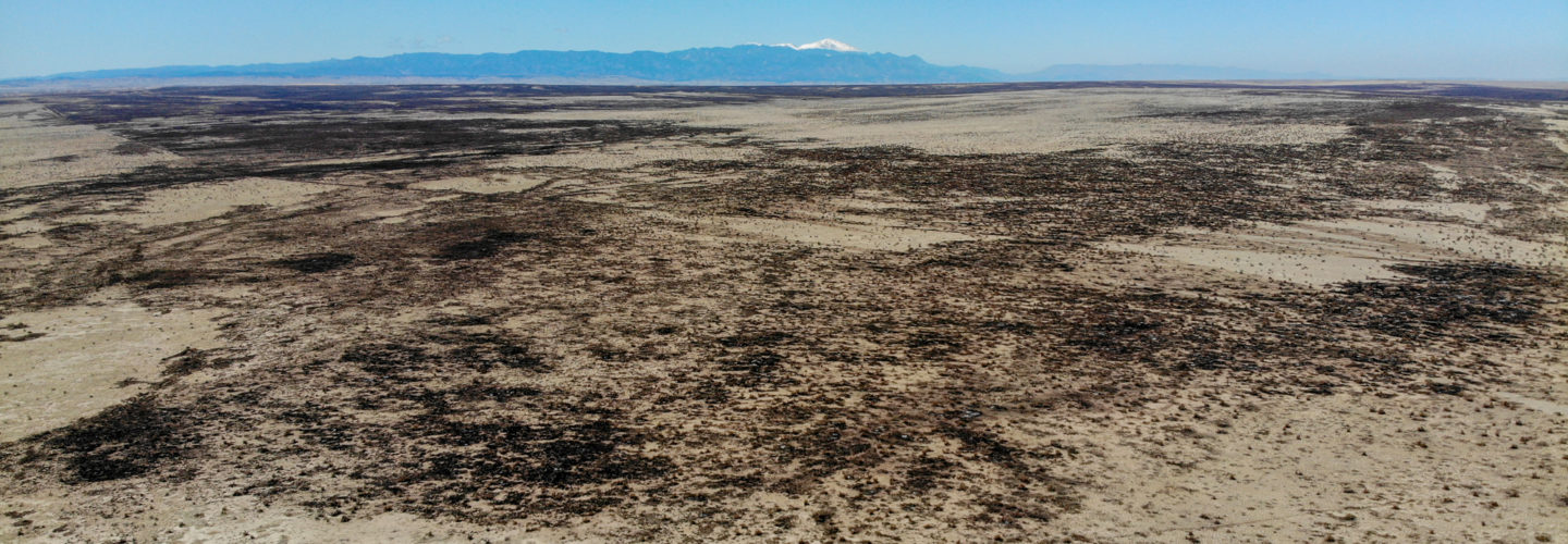 The Effects of Wildfire on Grassland Wildlife – Ranchlands