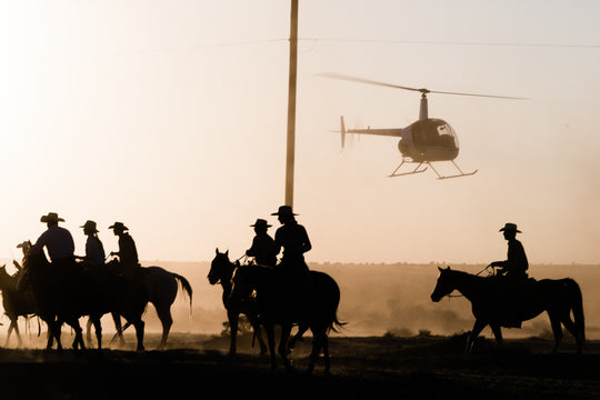 Horses and Helicopters