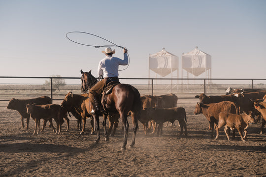 The Art of Roping