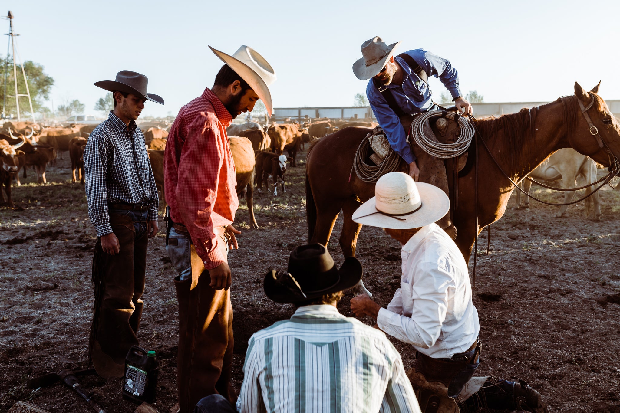 Texan Ranch People Learning to be an Expert – Ranchlands