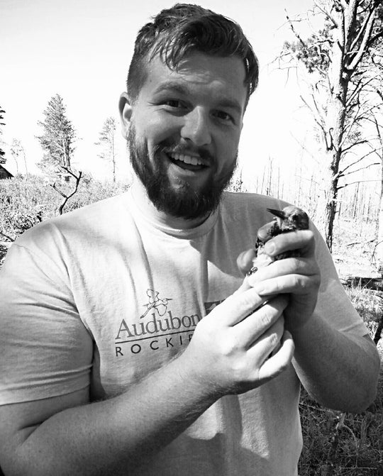 Meet the Ornithologist Behind Our New Hummingbird Station