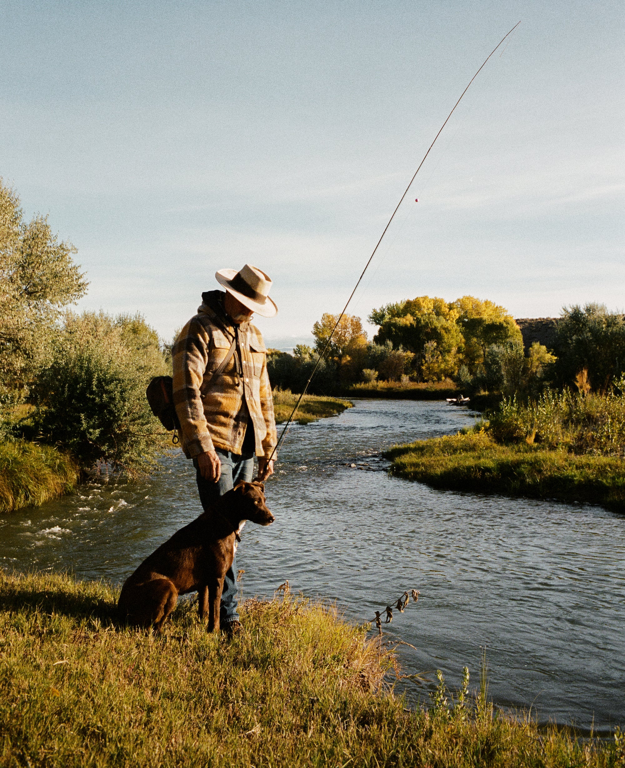 Dogs of Ranchlands: Duke III and Jam