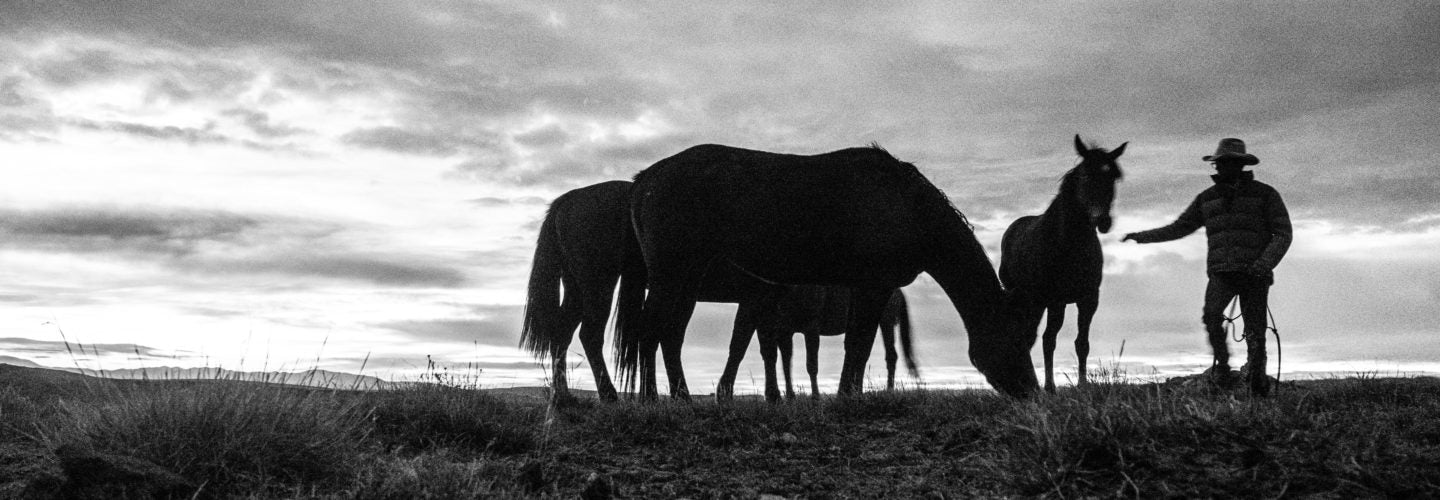 An Apprentice’s Story – Ranchlands