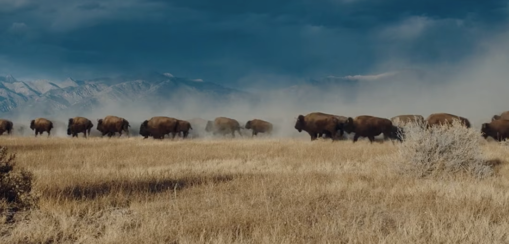 Inside Bison Works – Ranchlands