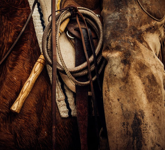 How to Care for Your Horse Tack and Leather Goods