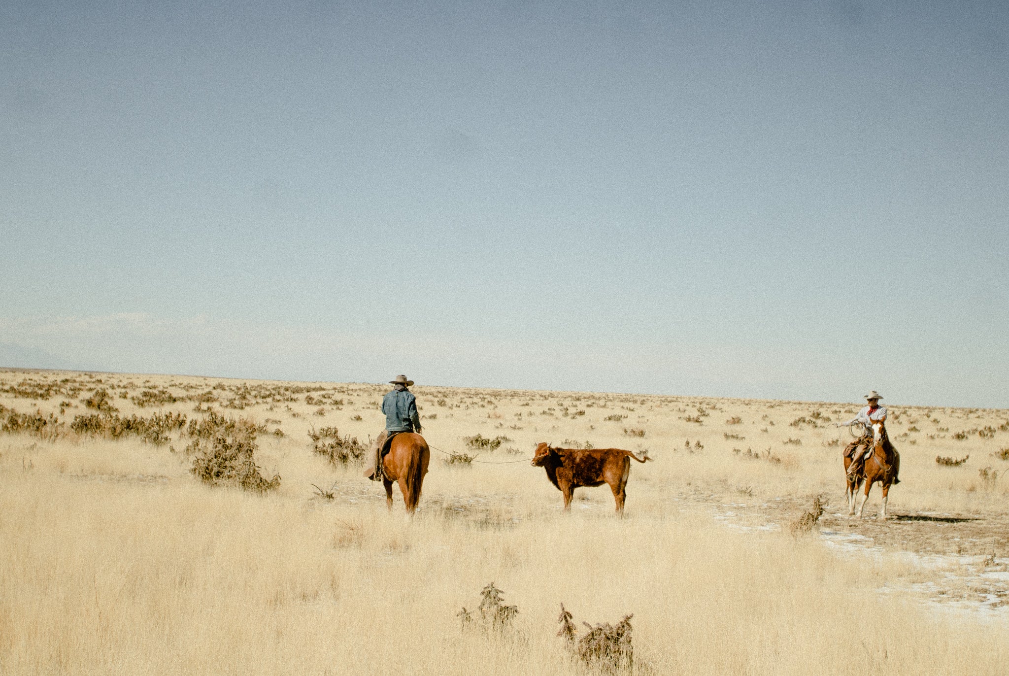Basin Ranch Texas Vast and Unknowable – Ranchlands