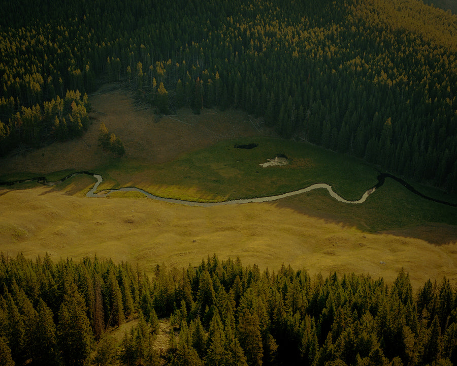 Alpine Creek