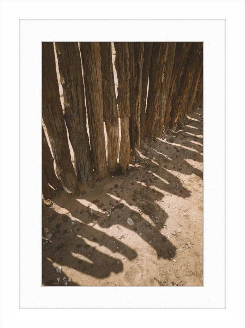 Coyote Shadows