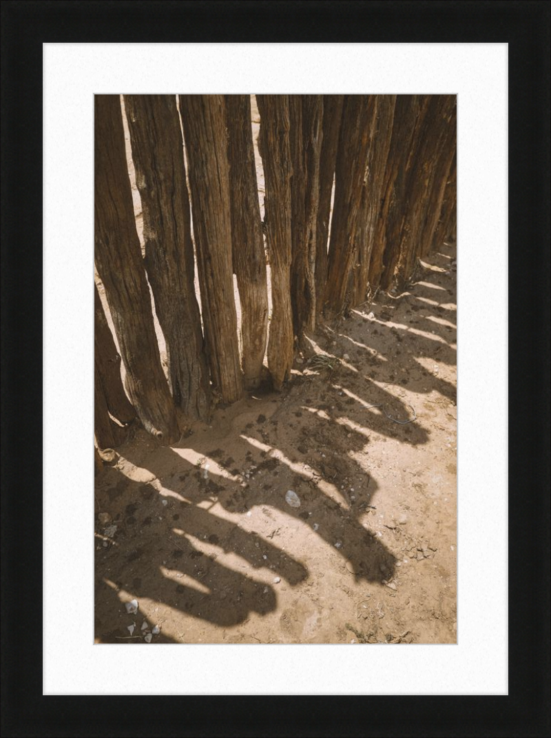 Coyote Shadows