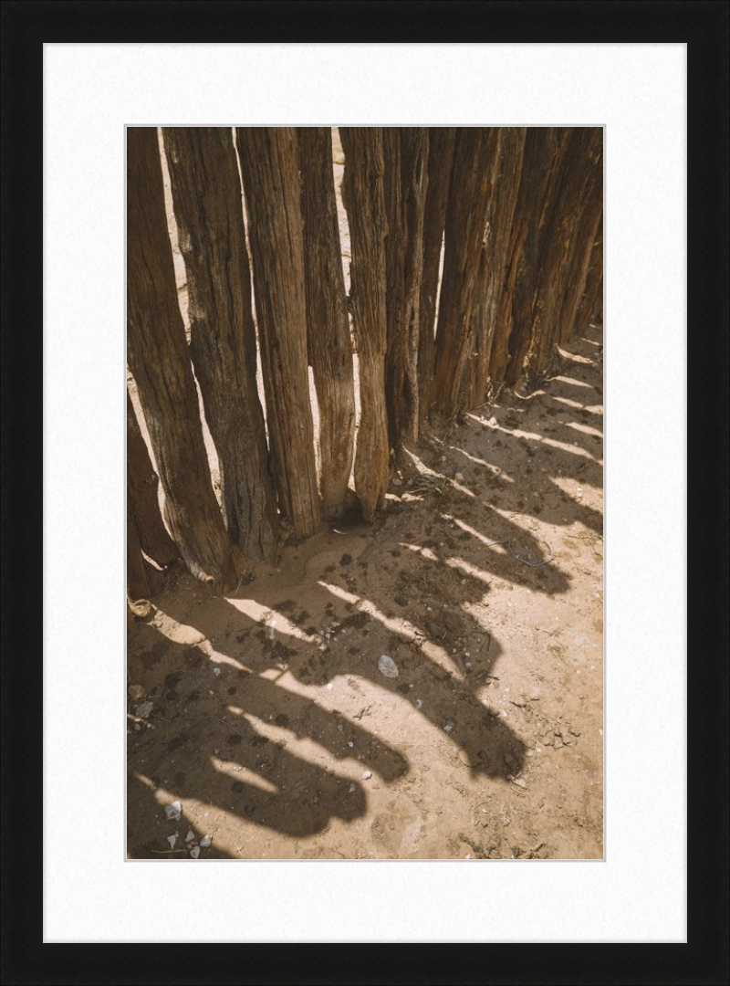 Coyote Shadows