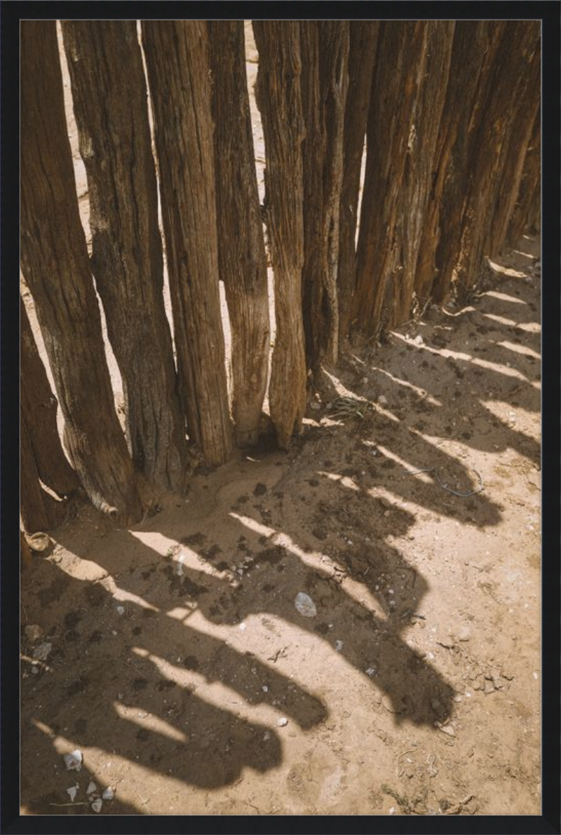 Coyote Shadows