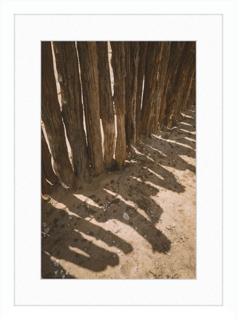 Coyote Shadows