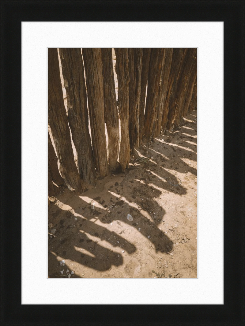 Coyote Shadows