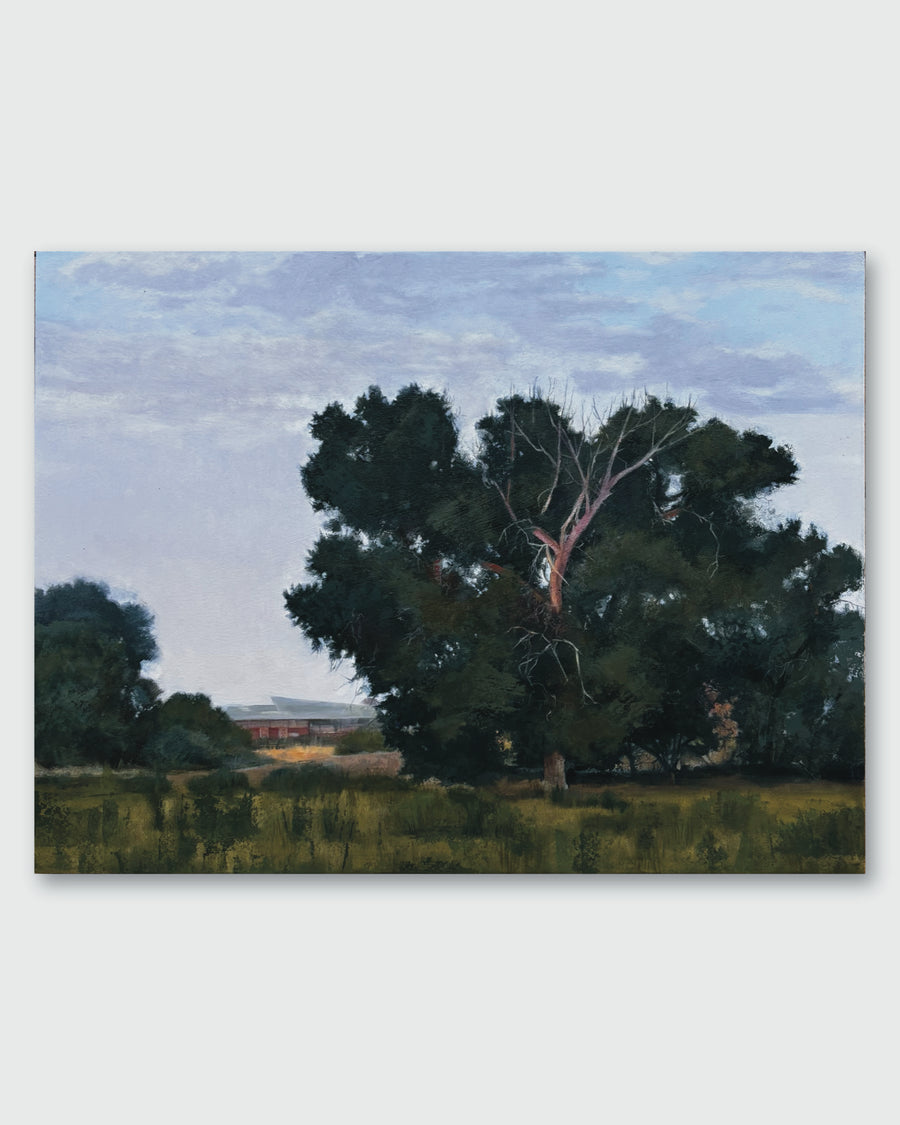 Trees