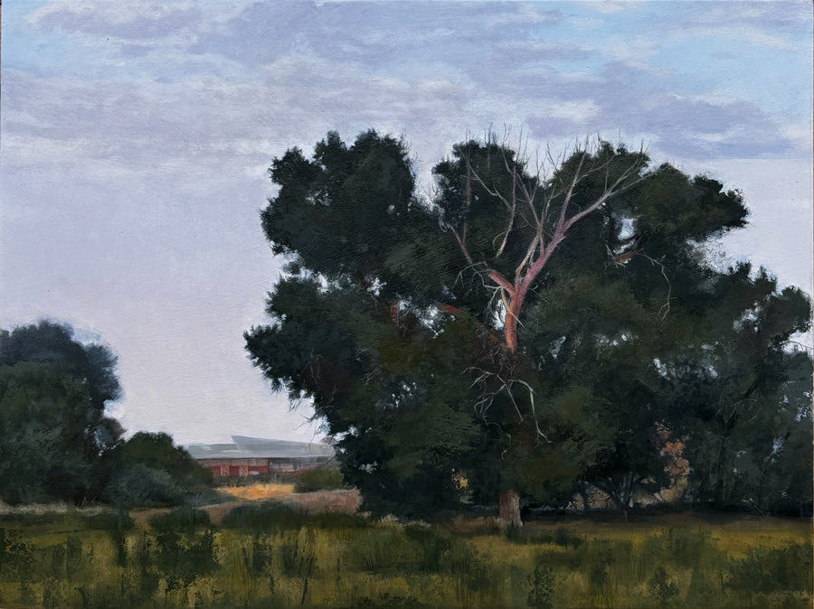 Trees