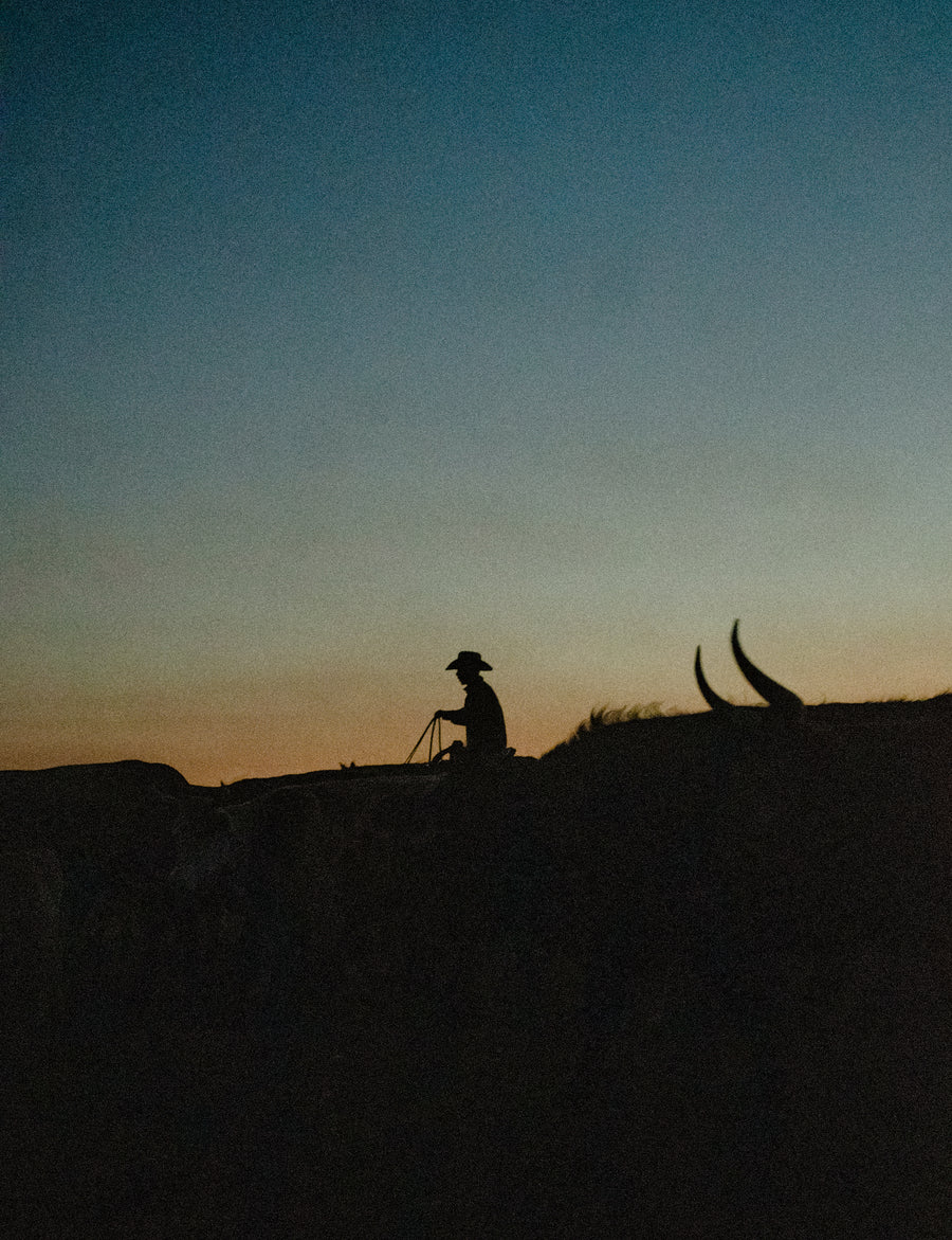 Gathering Silhouettes