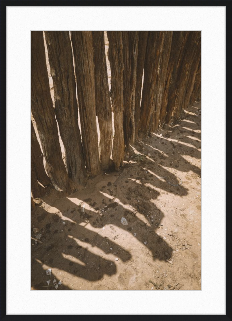Coyote Shadows