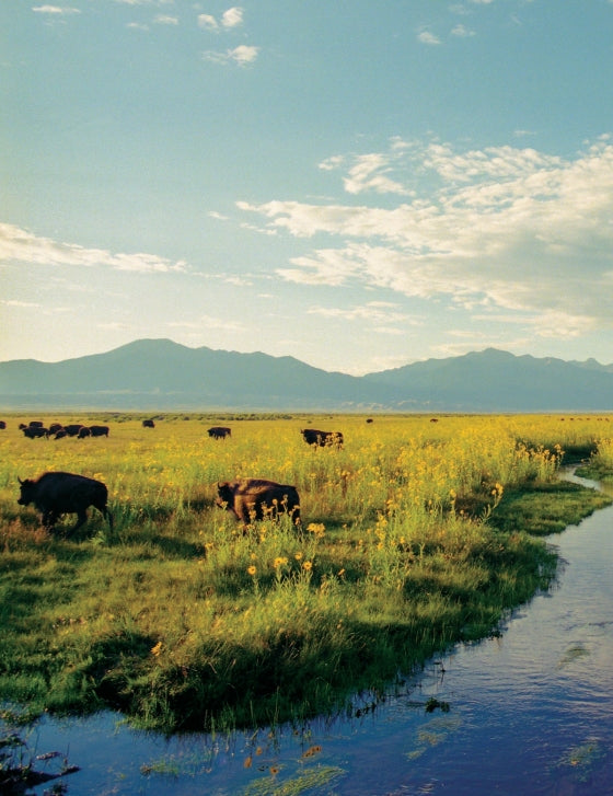 Ranchlands: From the Land, For the Land