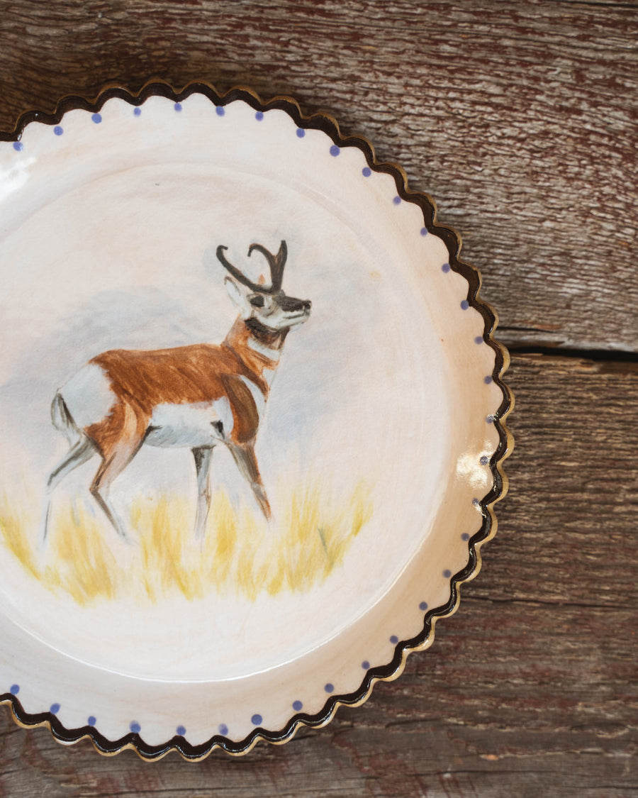 Pronghorn Plate