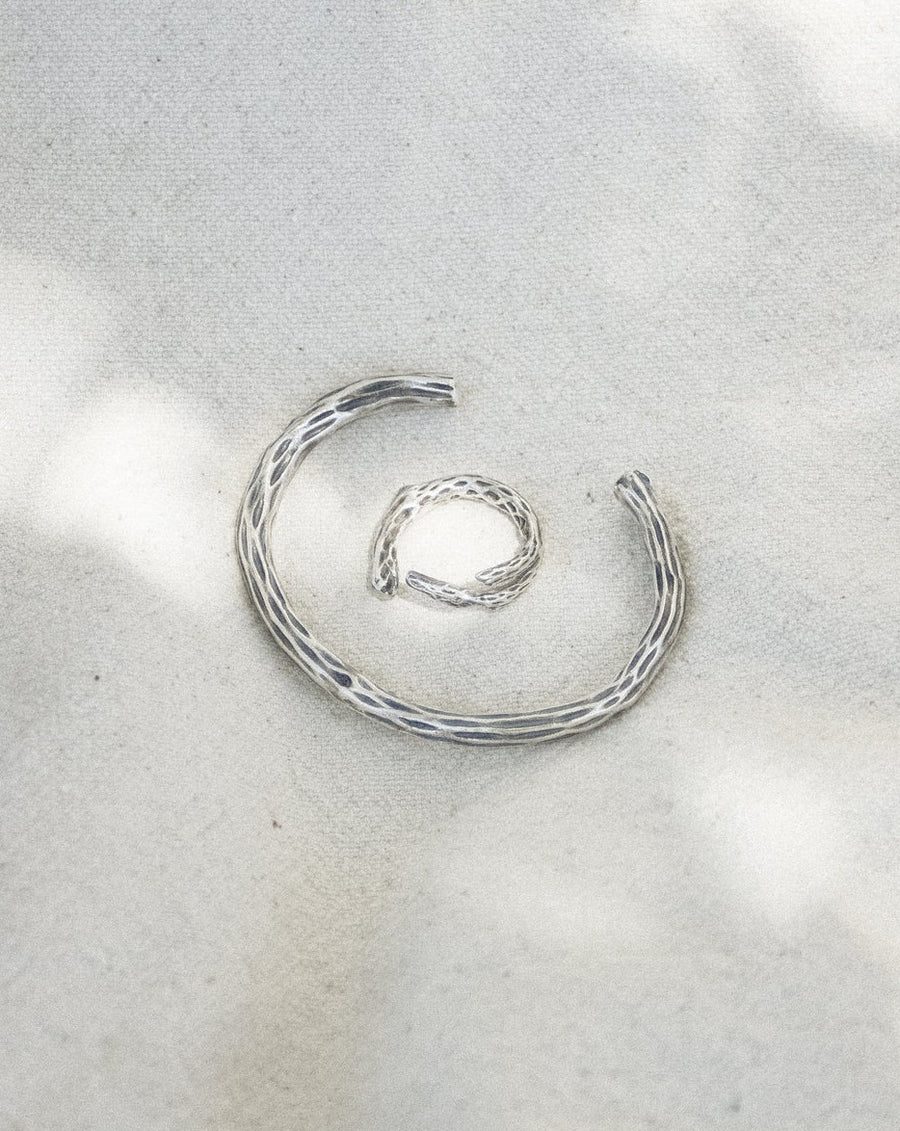 Cholla Ring